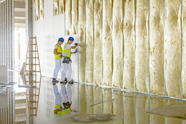 Best Radiant Barrier Insulation  in Palmetto Bay, FL